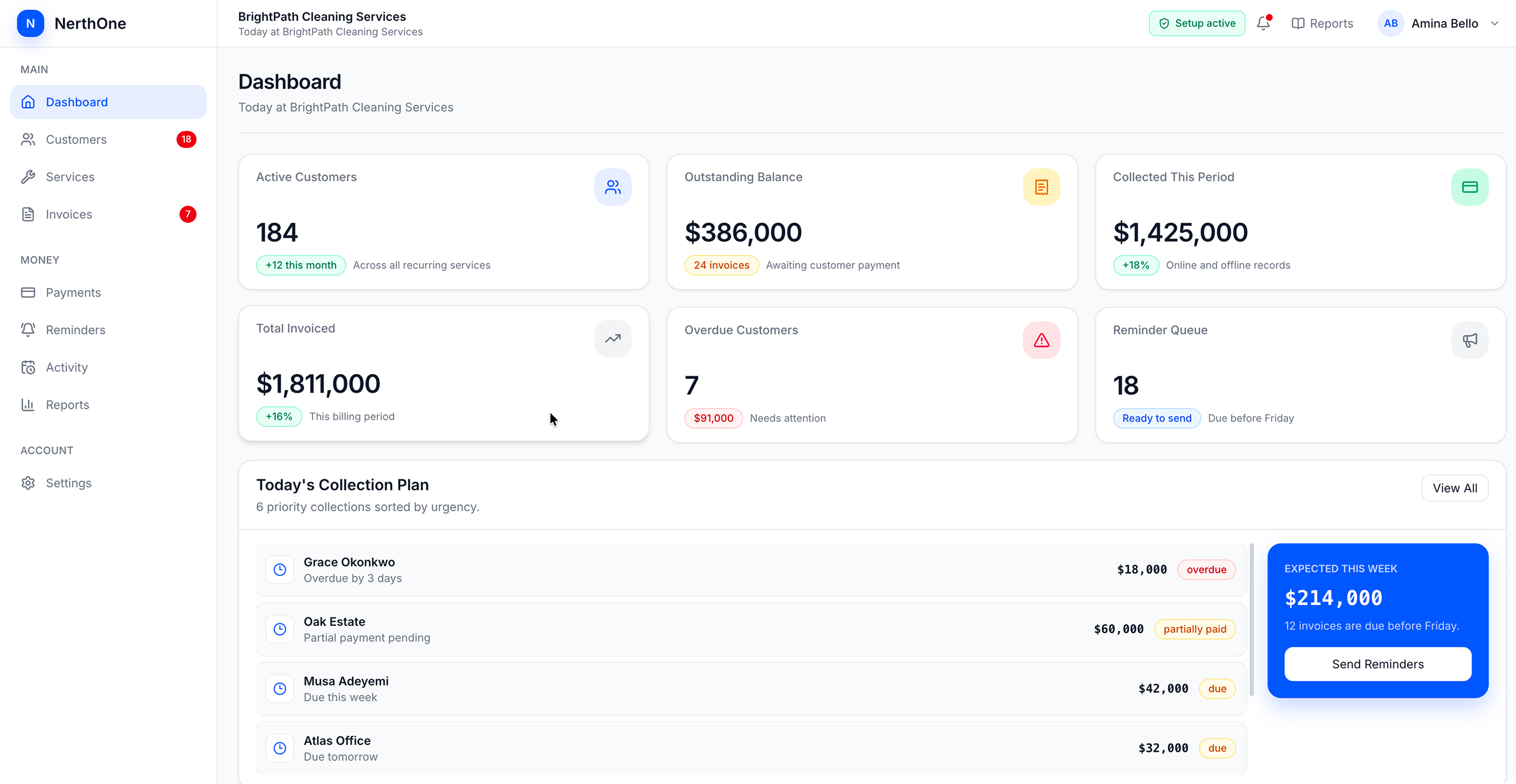 NerthOne dashboard showing business activity, customers and payments